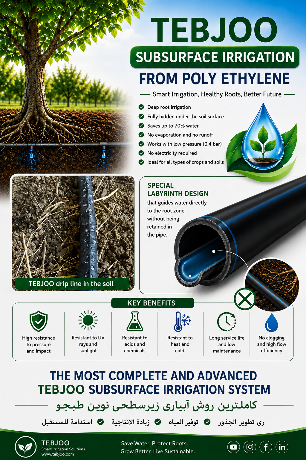 Tebjoo Subsurface irrigation system
