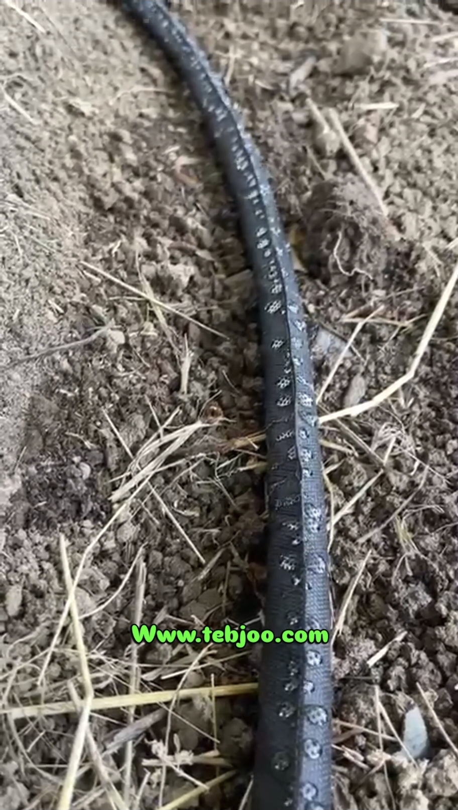 Tebjoo Subsurface irrigation system